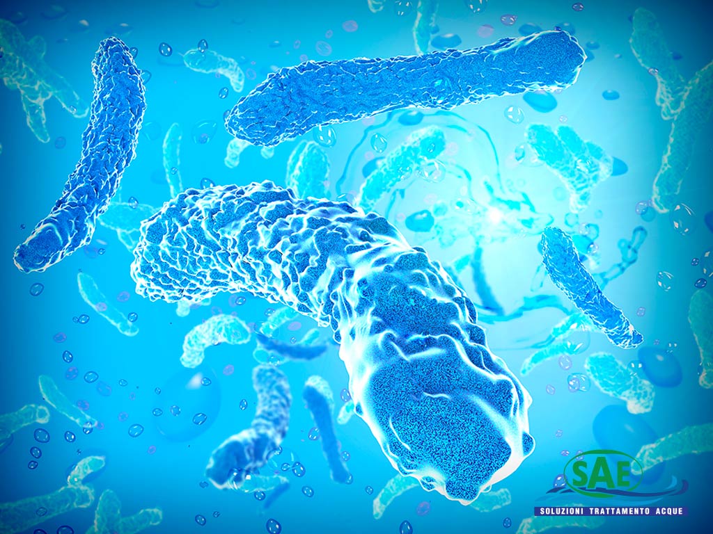 Batterio Legionella | SAE TECNOLOGY
